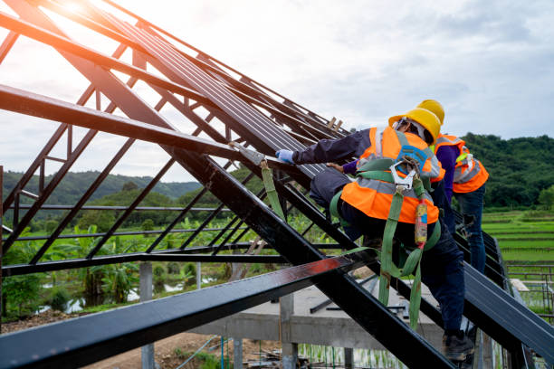 Best Roof Gutter Cleaning  in Lawrencevle, IL