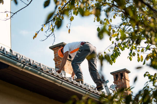 Best Best Roofing Contractors  in Lawrencevle, IL