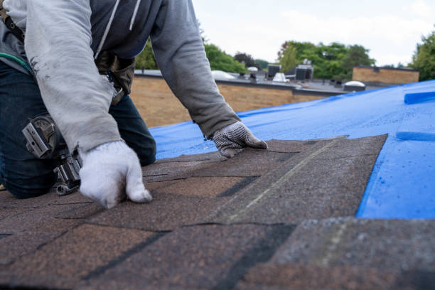 Gutter Installation and Roofing in Lawrenceville, IL