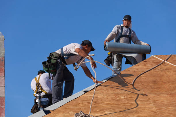 Roof Gutter Cleaning in Lawrenceville, IL
