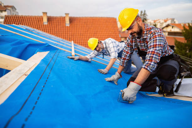 Best Metal Roofing Contractor  in Lawrencevle, IL